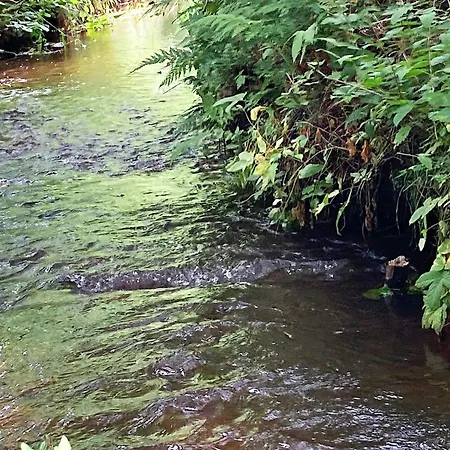 8 Person In Albaek-by Traum *