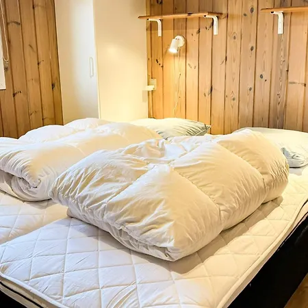 Ferienhaus 8 Person In Albaek-by Traum Ålbæk